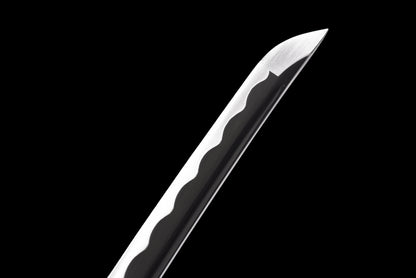 Kyōka Suigetsu Katana